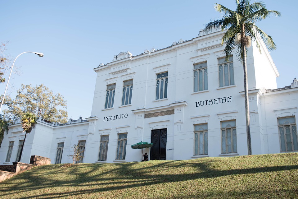 Brindes em São Paulo